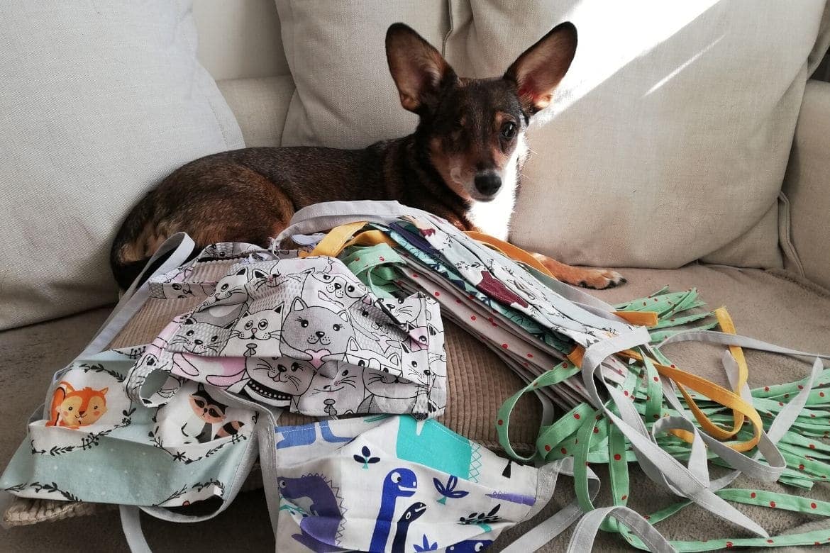 niesłyszący czytelnik a koronawirus w bibliotece Na kanapie pies i stos maseczek