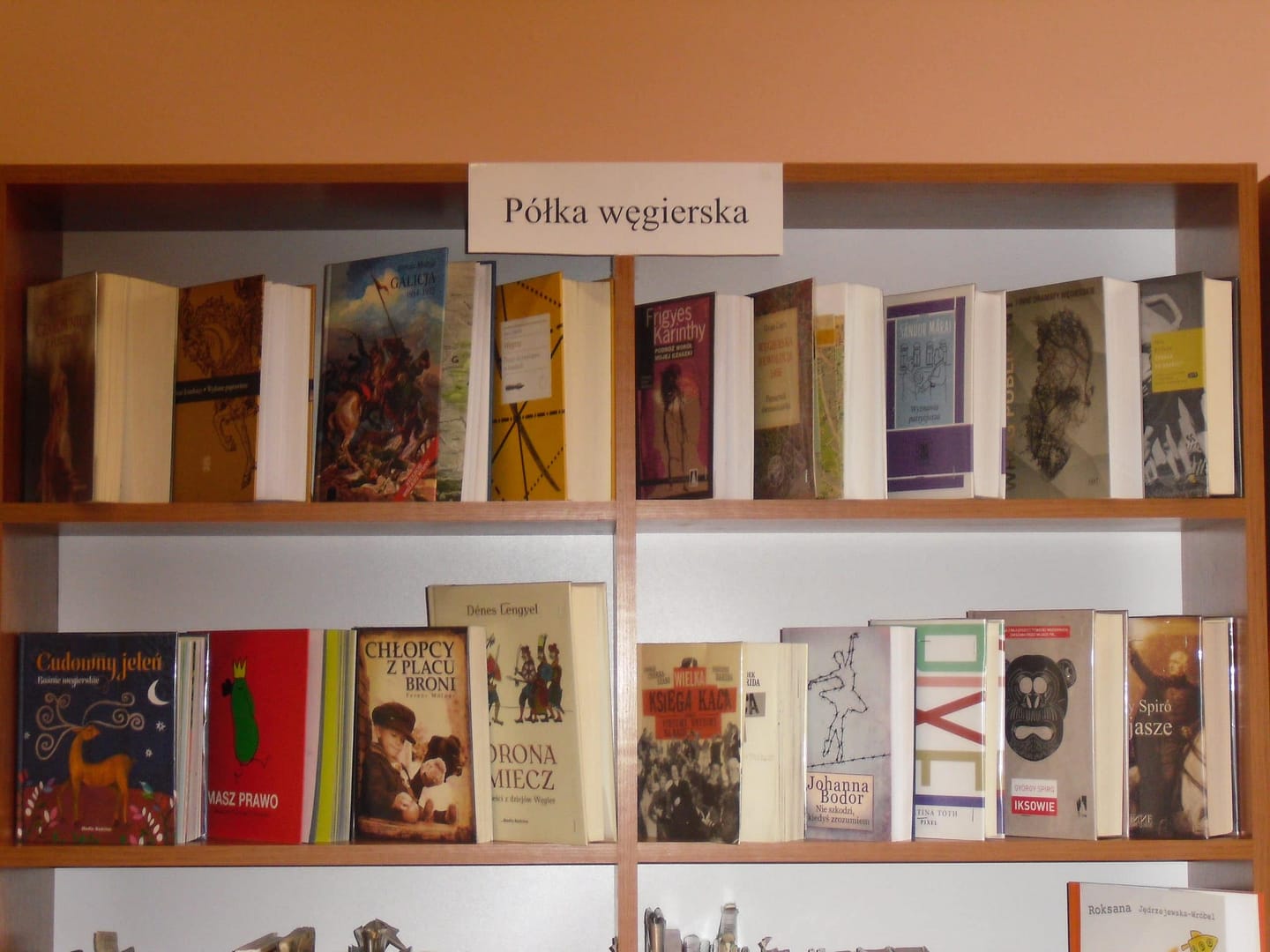 Literatura węgierska w Łysej Górze