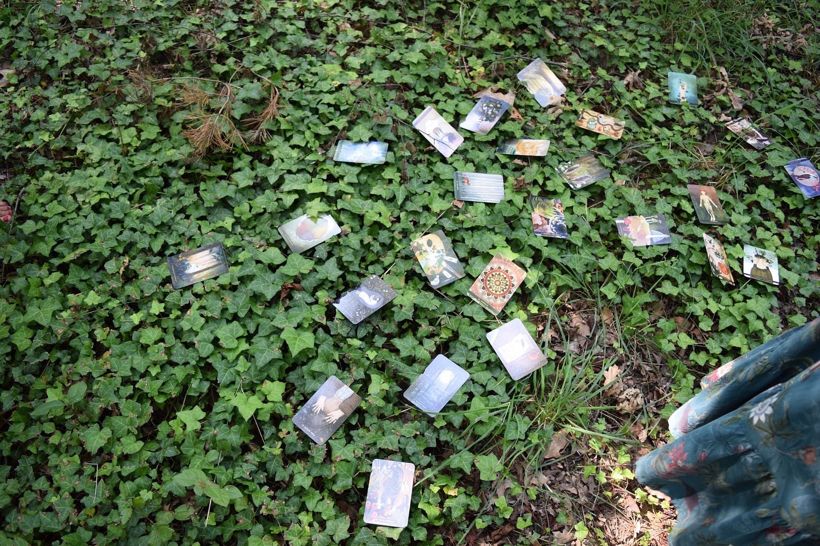 Sekretny las. Szumiący bohater - przyrodnicze warsztaty dla bibliotekarzy