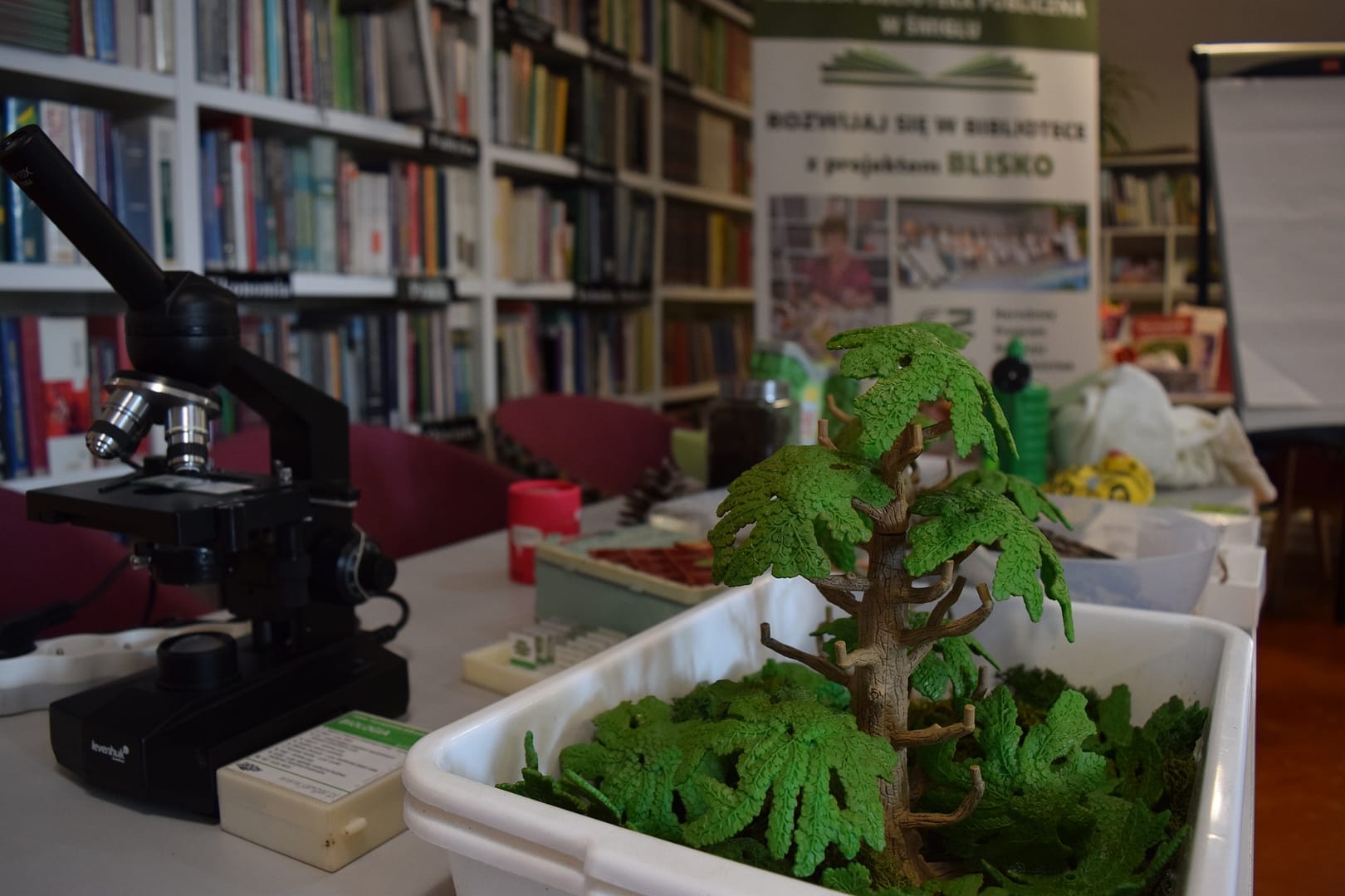 Sekretny las. Szumiący bohater - przyrodnicze warsztaty dla bibliotekarzy