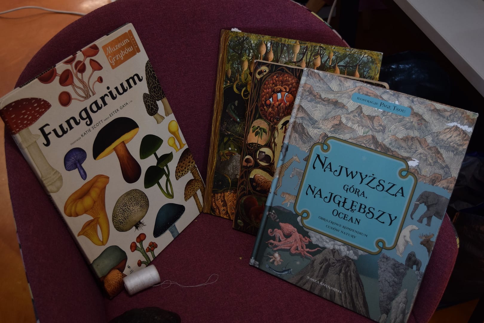 Sekretny las. Szumiący bohater - przyrodnicze warsztaty dla bibliotekarzy