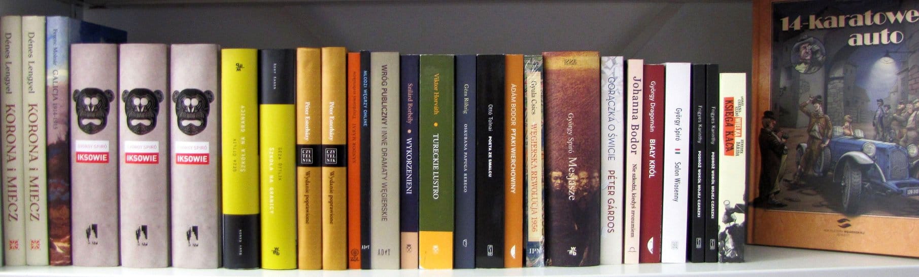 Literatura węgierska w Połańcu