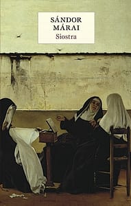 Okładka książki Siostra