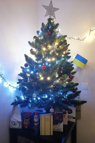 Ukraińcy w bibliotece www