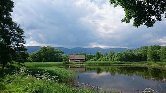 Bukowiec