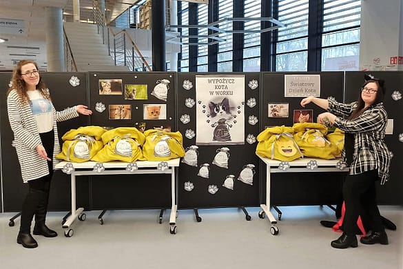 LUBITEKA – Wypozycz kota w worku LUBITEKA - Wypożycz kota w worku