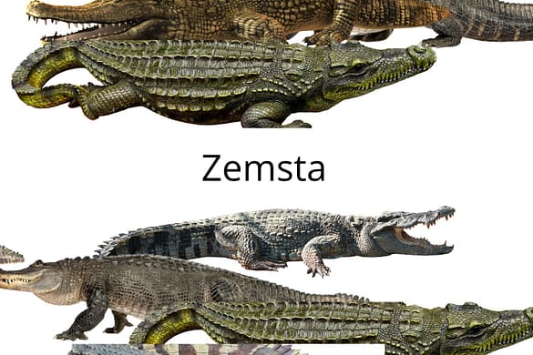 Praca uczniów w Canvie: Zemsta