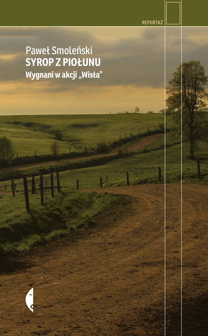 Okładka książki Syrop z piołunu