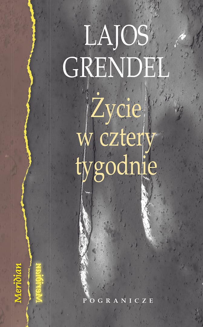 Okładka książki Życie w cztery tygodnie