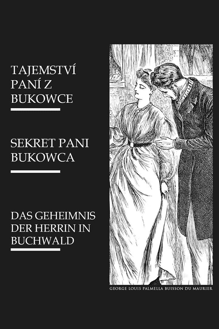 Grafika gry Sekret Pani Bukowca